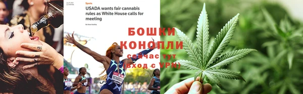 дживик Карпинск
