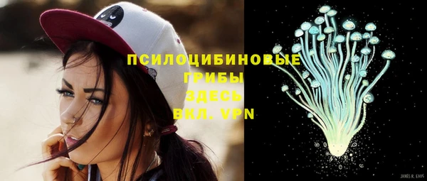 шишки Иноземцево