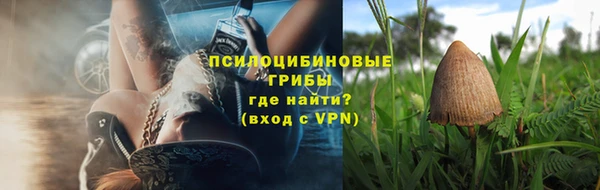 мяу мяу мука Карталы