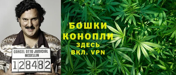 мдпв Касимов