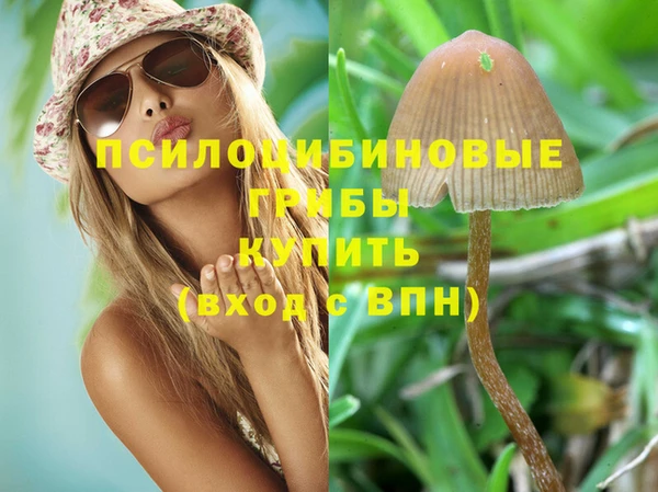 мяу мяу мука Карталы