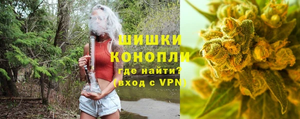 мдпв Касимов