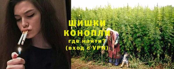 мдпв Касимов