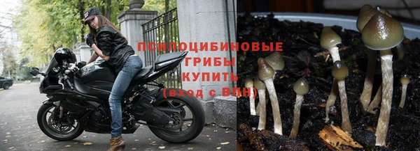 мяу мяу мука Карталы