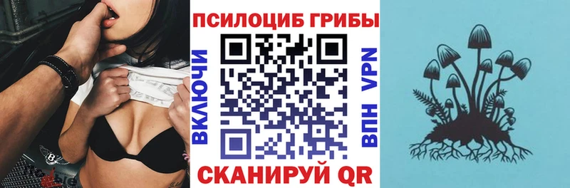 Купить где  Малоархангельск  Псилоцибиновые грибы прущие грибы 